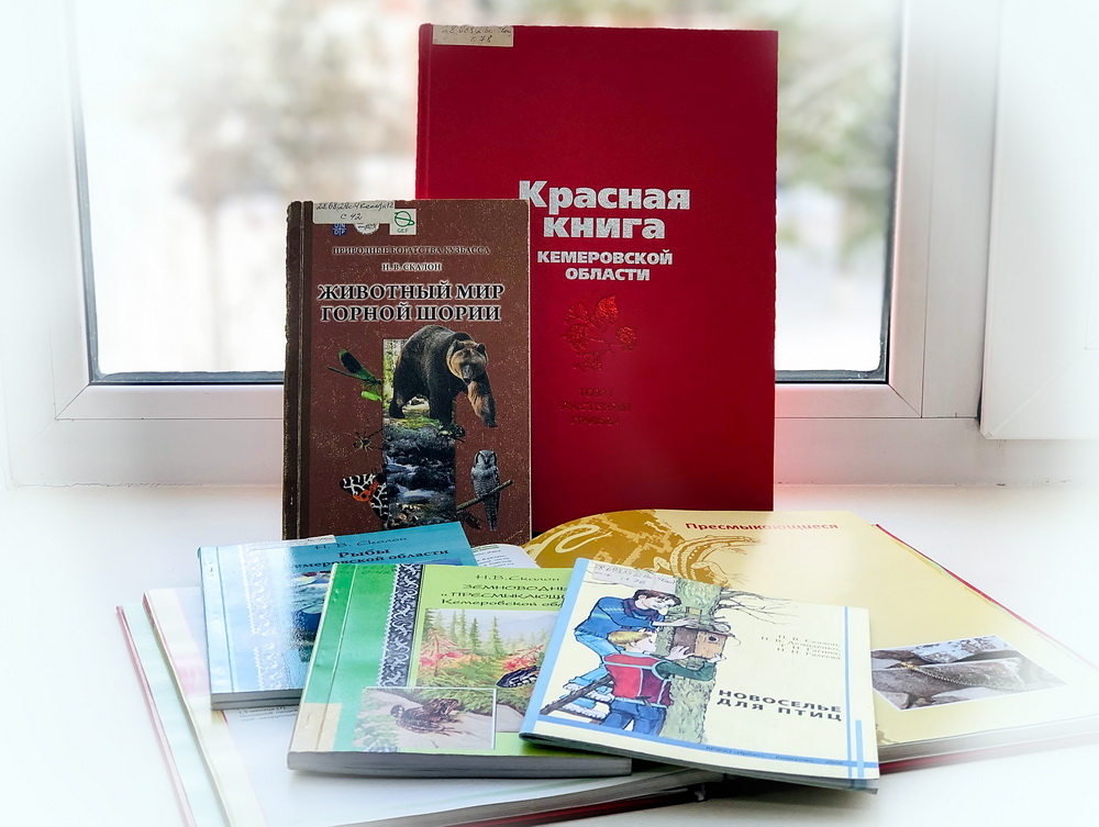 В Кемеровской областной библиотеке для детей и юношества открывается цикл лекций «Разговоры о важном» В Кемеровской областной библиотеке для детей и юношества открывается цикл лекций «Разговоры о важном»